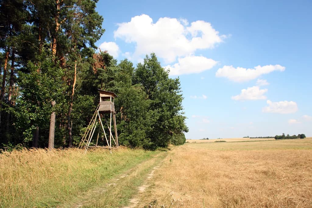 Skyddsjakt - jakttorn